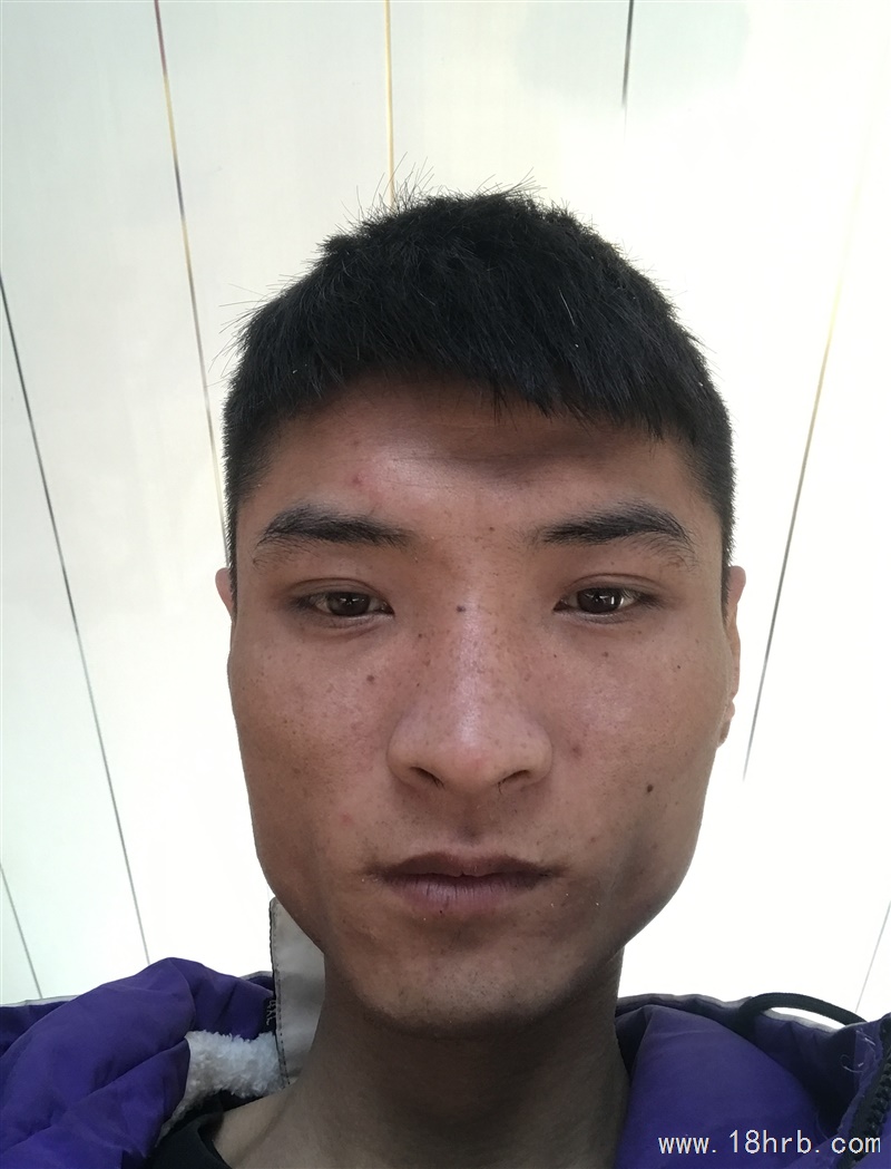 本人找工作
